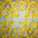 189 Daffodils - 3 ply -